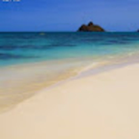 Meet your Posher, Petra - Picture 1 of 1